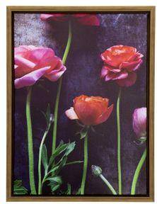 Ranunculus II Wall Multicolor