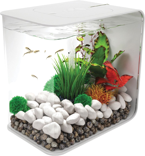Biorb Flow 15 LED