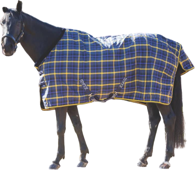 Shires Tempest Plus Lite Turnout Rug