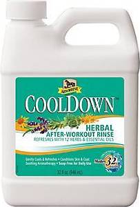 Absorbine CoolDown After-Workout Rinse 946ml