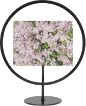 4" x 6" Infinity Floating Picture Frame