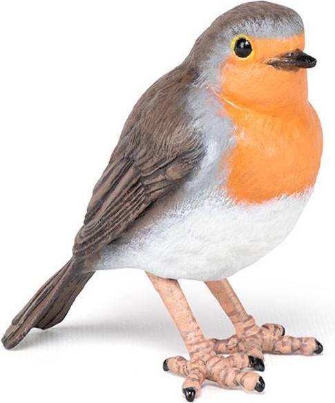 Robin