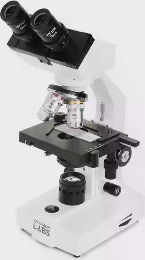 Labs CB1000CF Compound Microscope