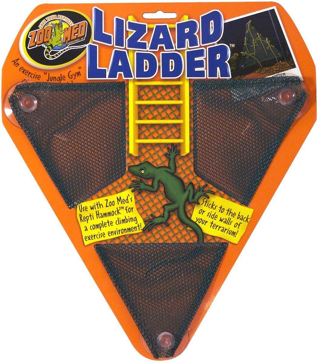 Lizard Ladder