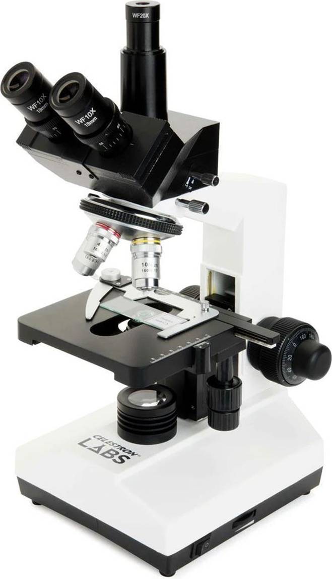 Labs CB2000CF Compound Binocular Microscope