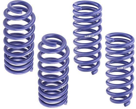H&R Suspension Spring Kit 29836-1