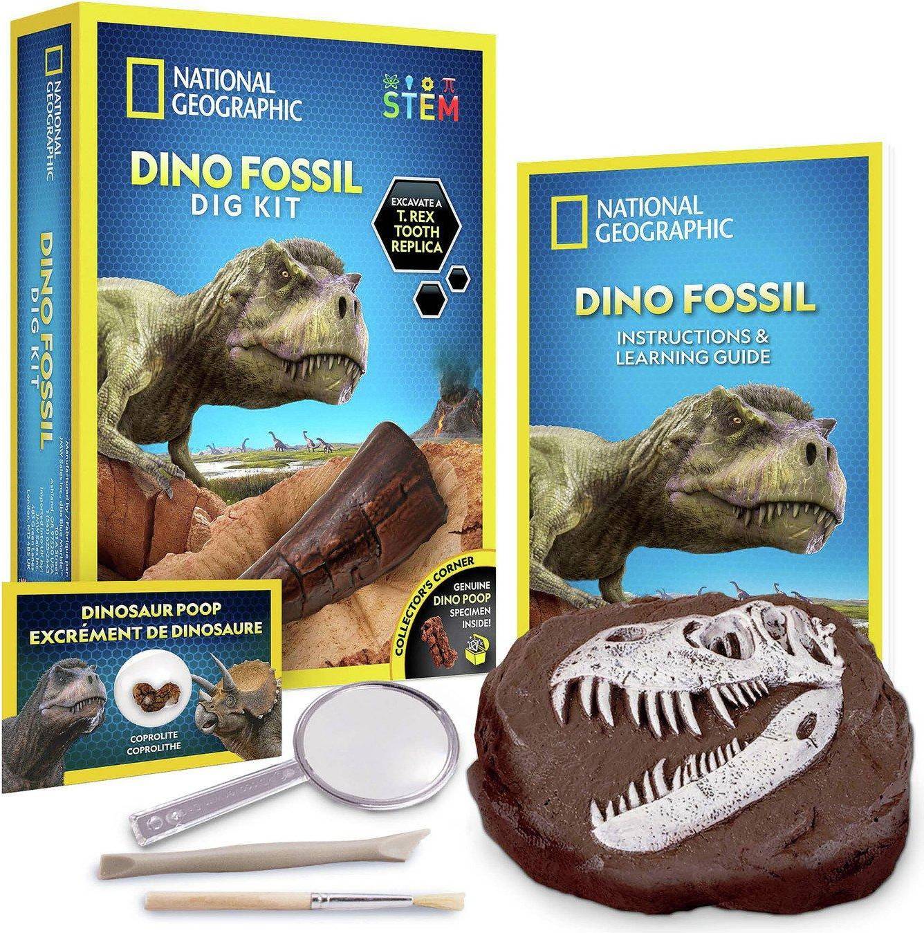 Dinosaur Dig Kit