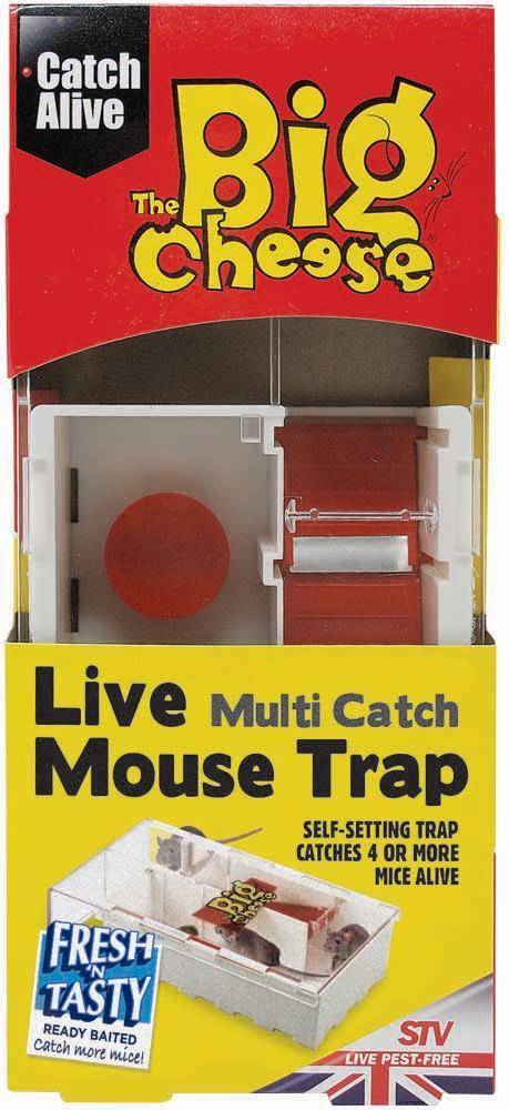  Live Multi-Catch Mouse Trap