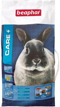 Care+ Rabbit