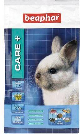 Care+ Junior Rabbit