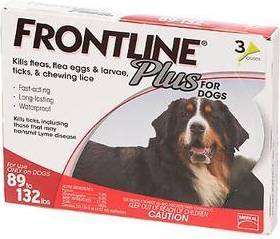 Plus Extra Large Dogs Over 89