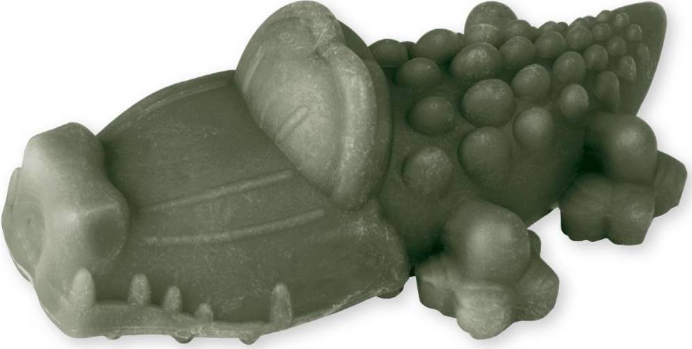 Alligator Large Display Box
