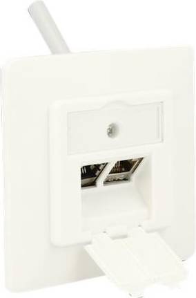 DeLock Keystone 86219 2 Port Compact Socket