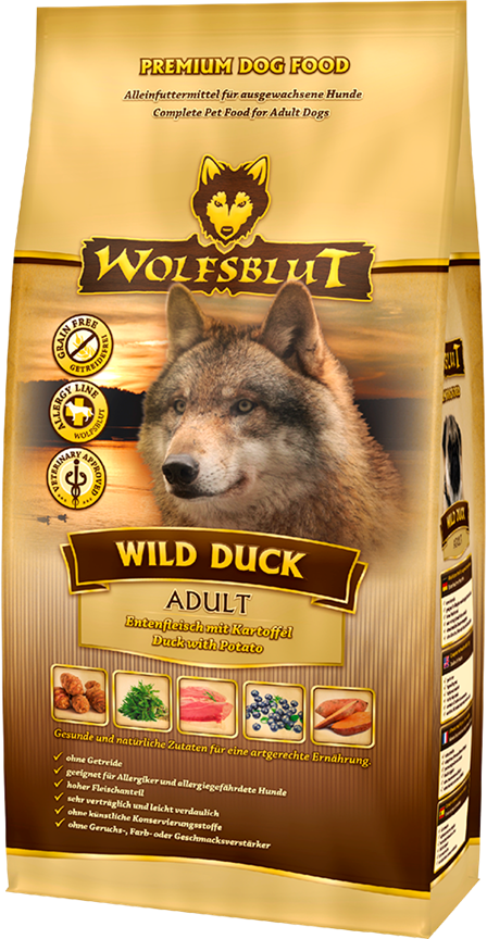 Wild Duck Adult, 2