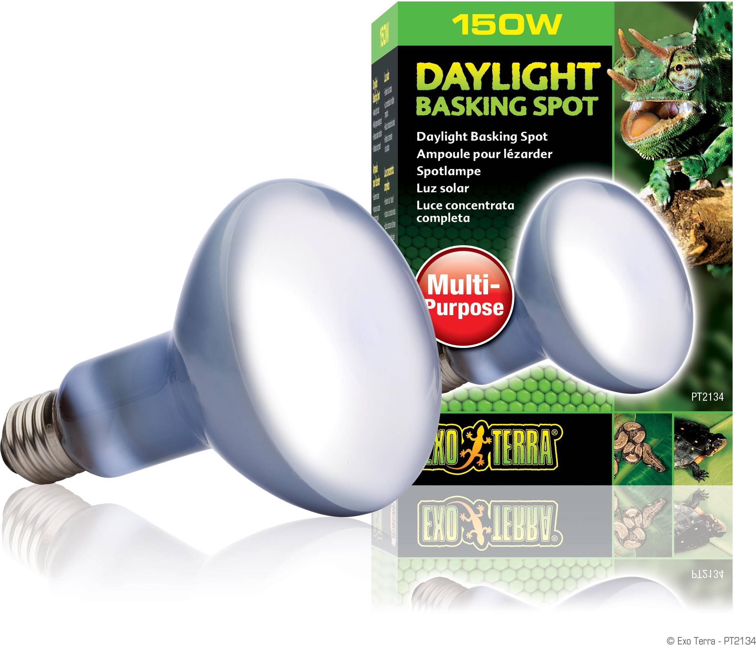 Daylight Basking Spot R30 75W
