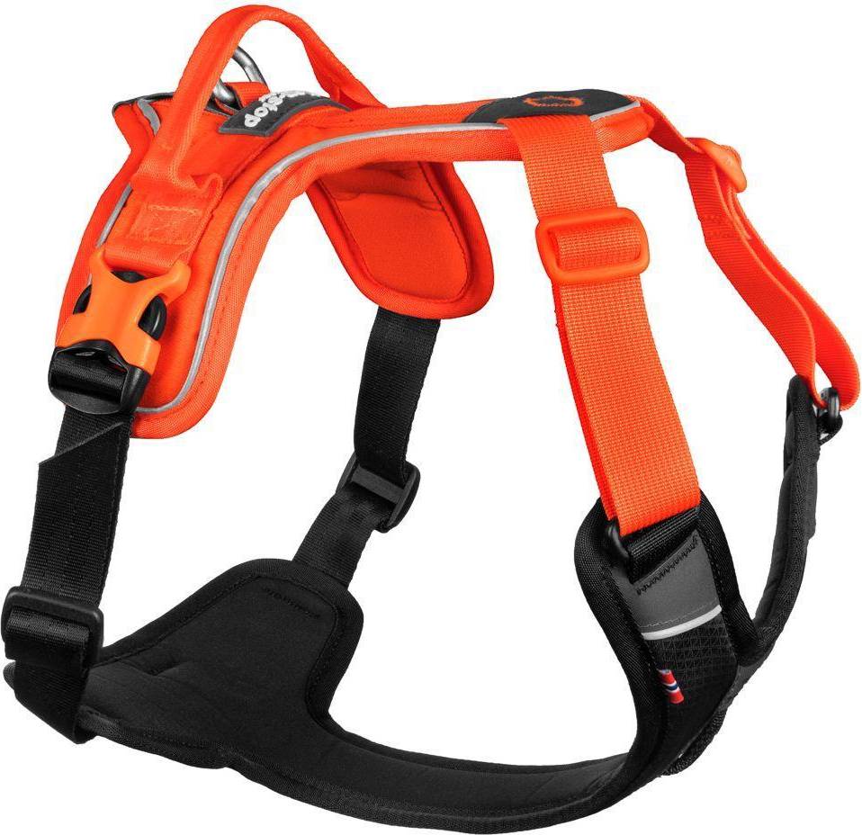 Ramble Harness