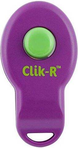 PetSafe Clik-R Training Tool