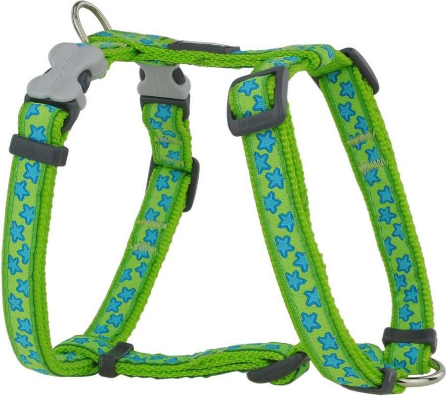 Harness Style Turquoise Star