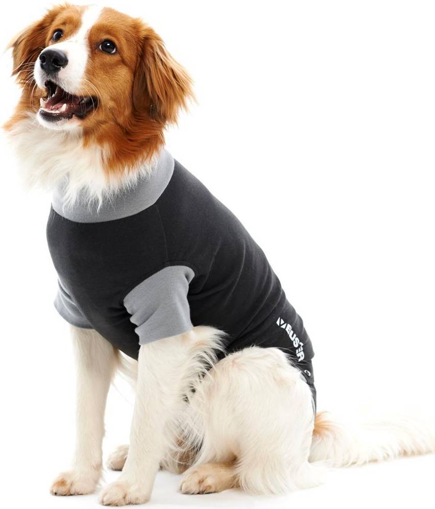 Kruuse Classic Body Protector Front Legs Trasparente