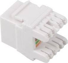 Keystone RJ45 UTP Cat6a Mono Adapter