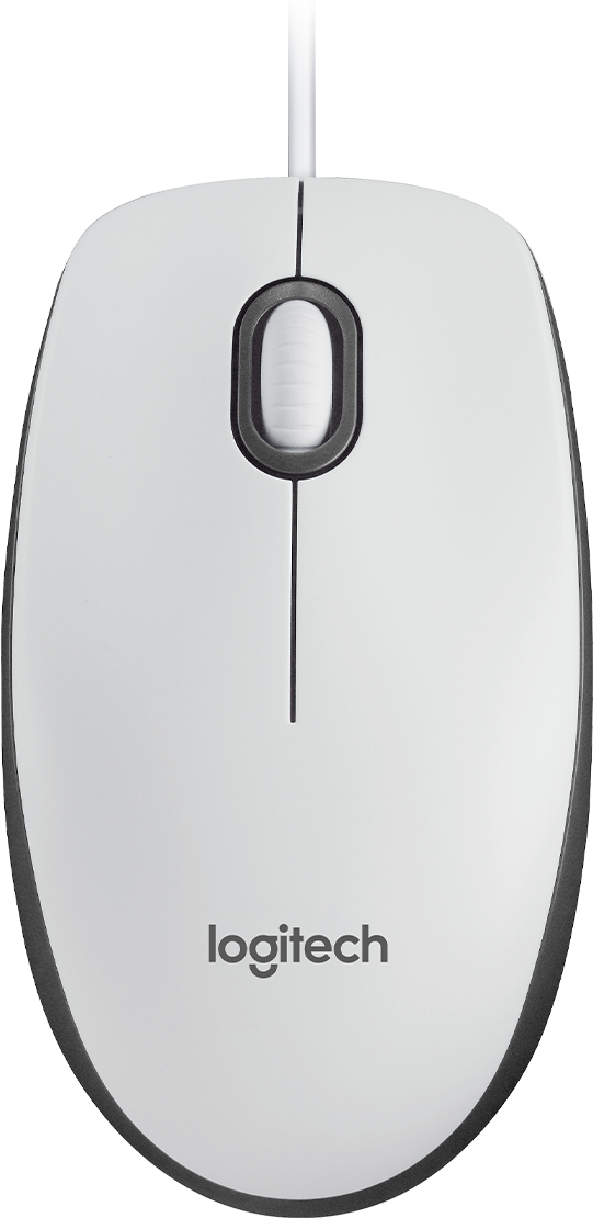 Logitech M100 mouse