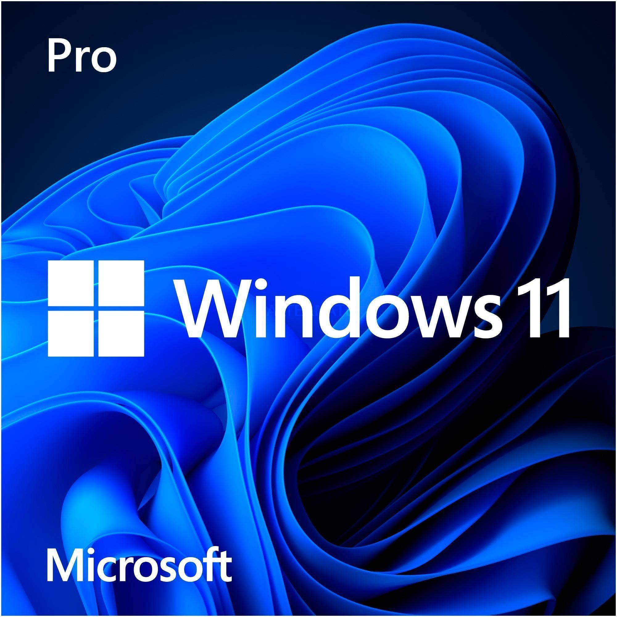 Windows 11 Pro 64bit
