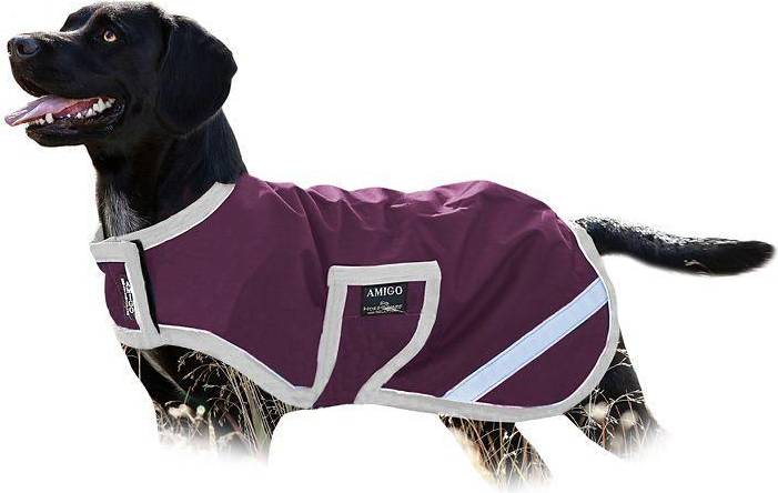 Dog Rug Ripstop XXL Fig/Navy