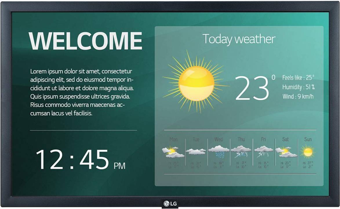 LG 22SM3G-B 22 Inch Diagonal Class 21.5 Inch