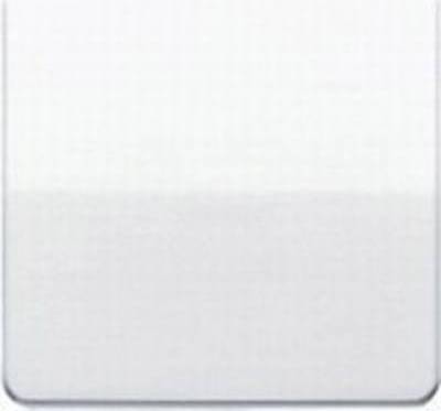 CD590WW Rocker Switch/Button
