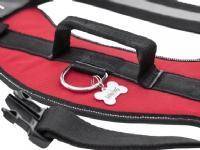 DOGGY R4 JULLETT braces RED