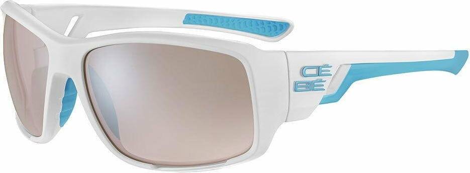 CBS009