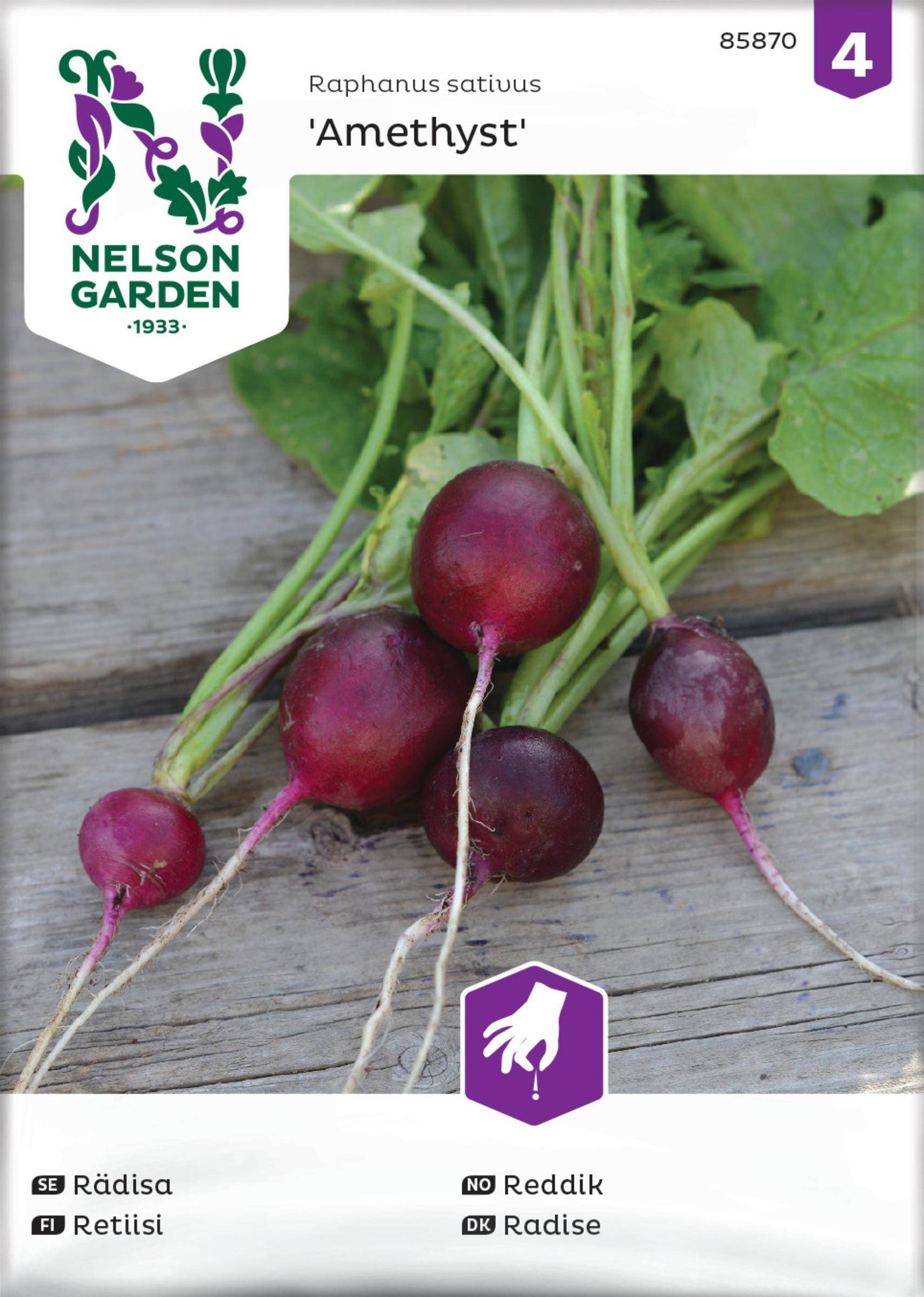 Nelson Garden Rädisä, Amethyst
