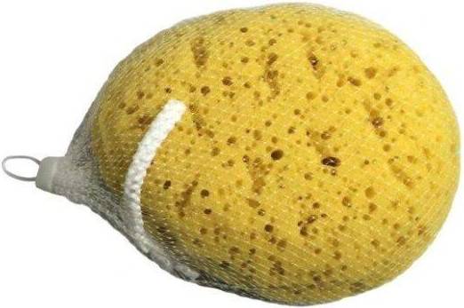 Body Sponge