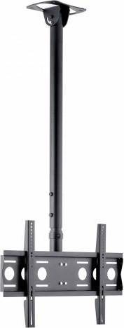 CMS21