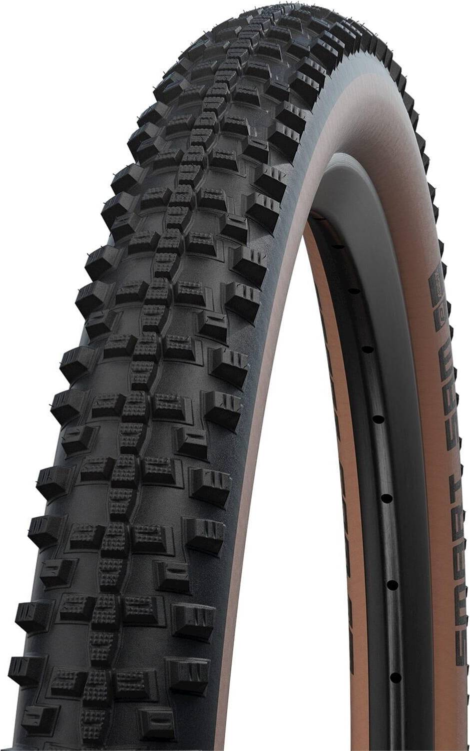 Schwalbe Smart Sam Perf Addix
