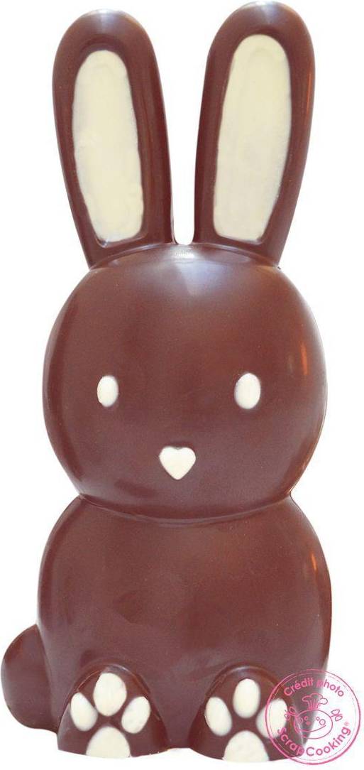 3D Rabbit