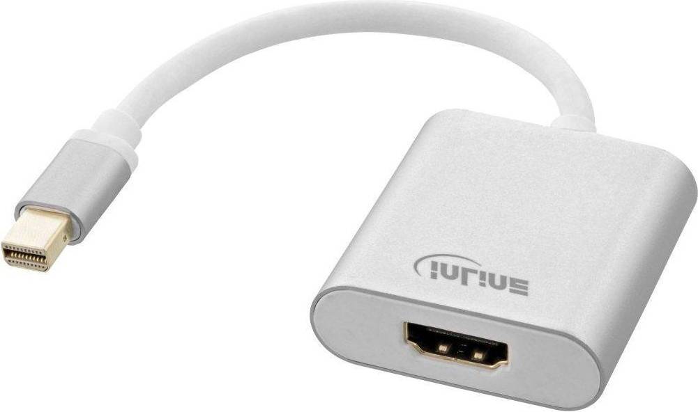 InLine Mini Displayport