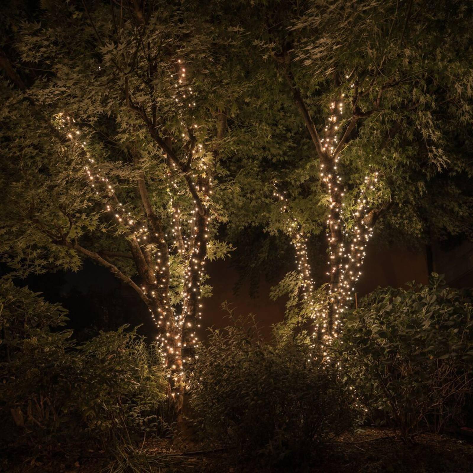 Twinkly lights Twinkly String String Light