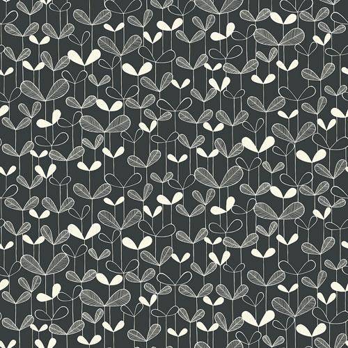 Midbec Saplings Graphite