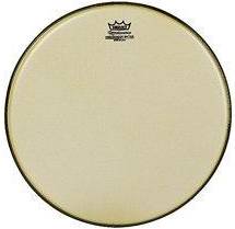 Remo 15 Renaissance Ambassador