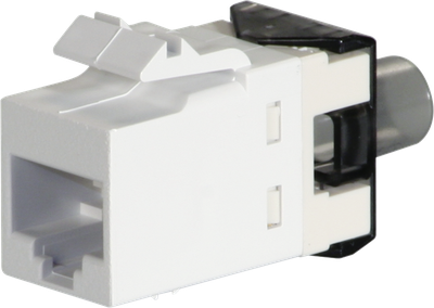 UTP CAT6 Modular Jack