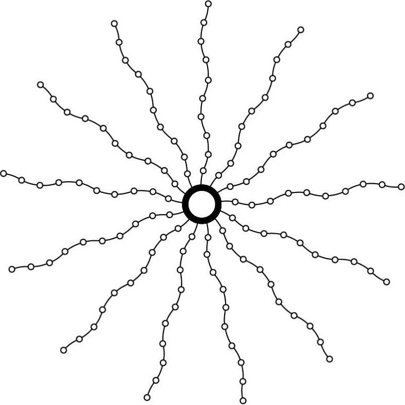 Top-Line White