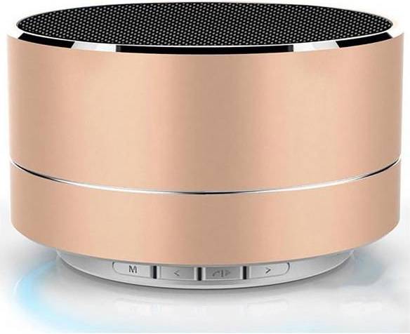 Portable Speaker System