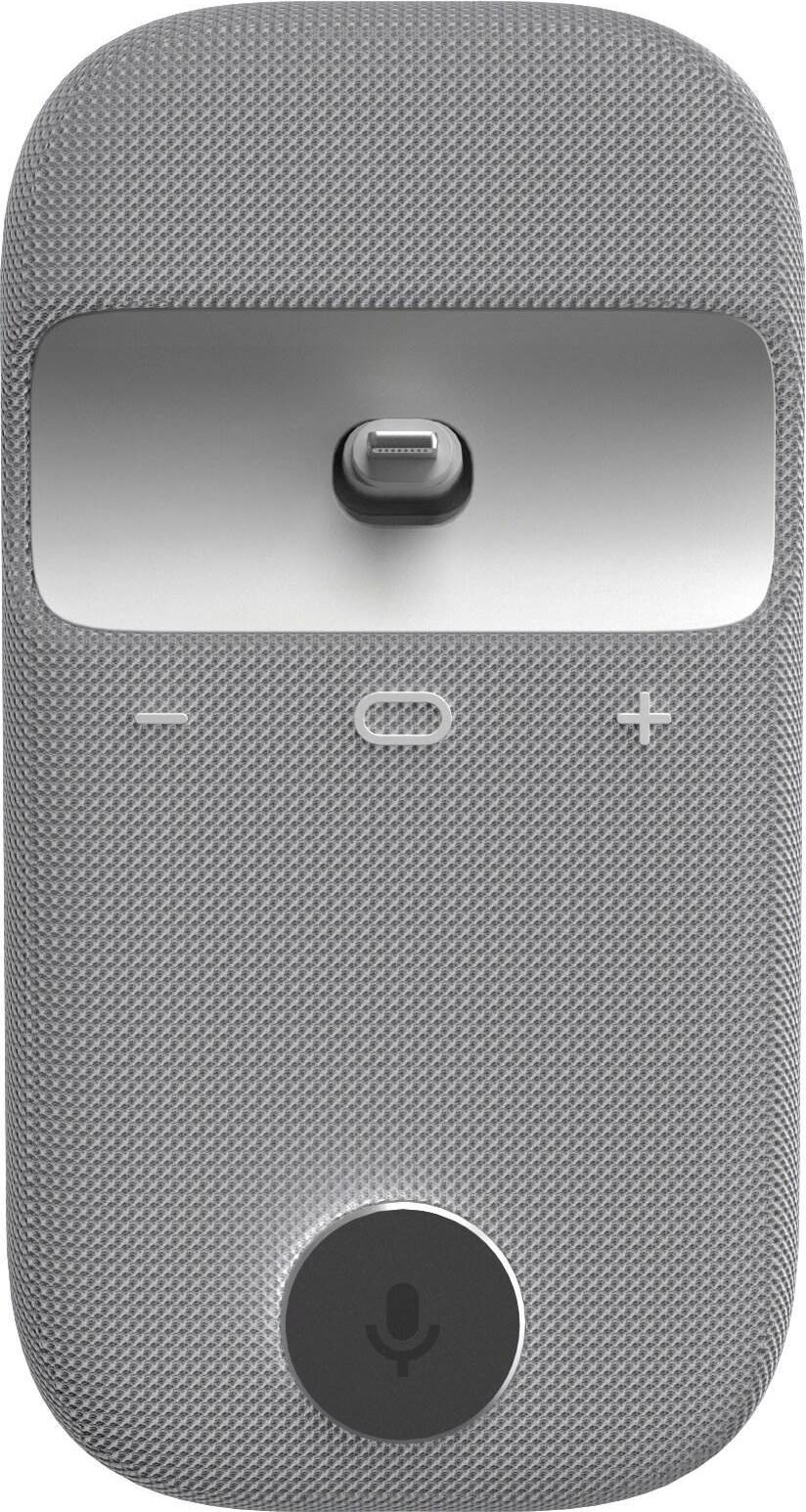 Rayz Rally Pro Lightning Speaker