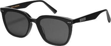 Heizer 01