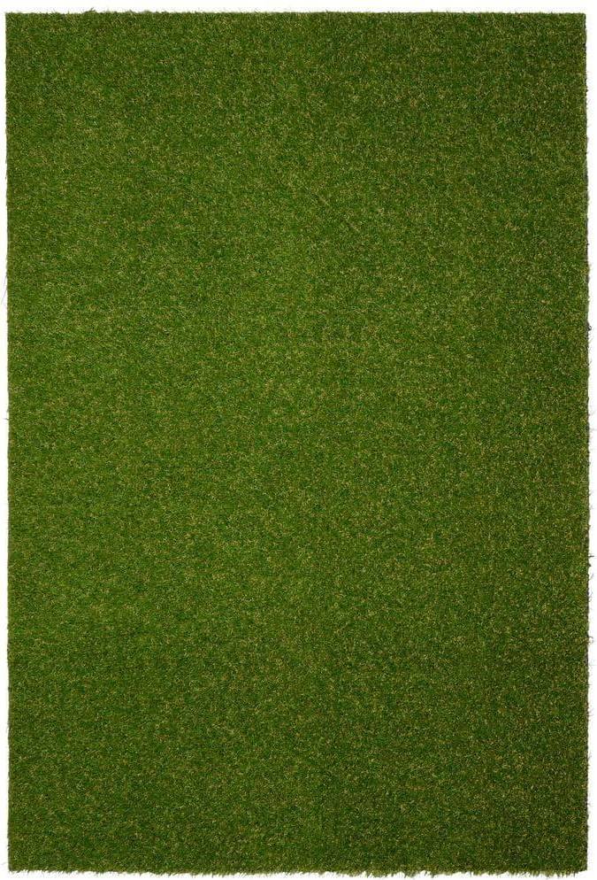 Area Rug