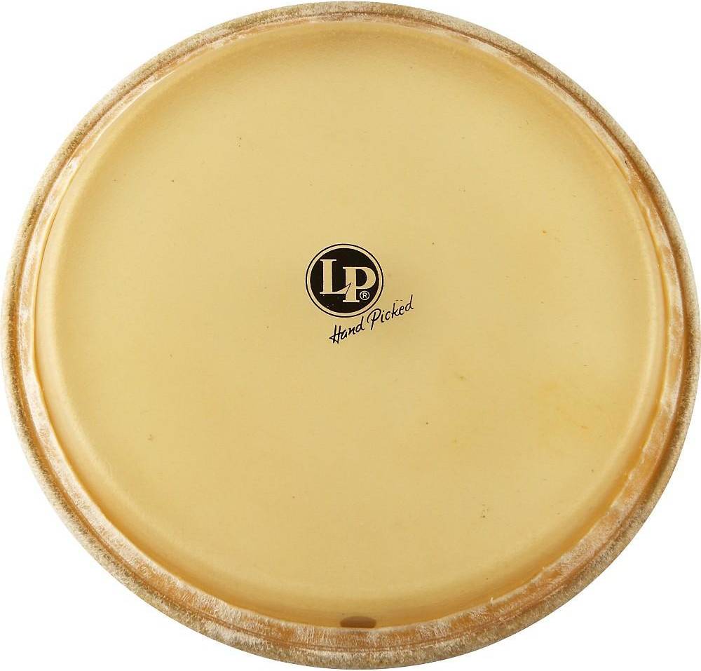 Conga Head 11.75 In