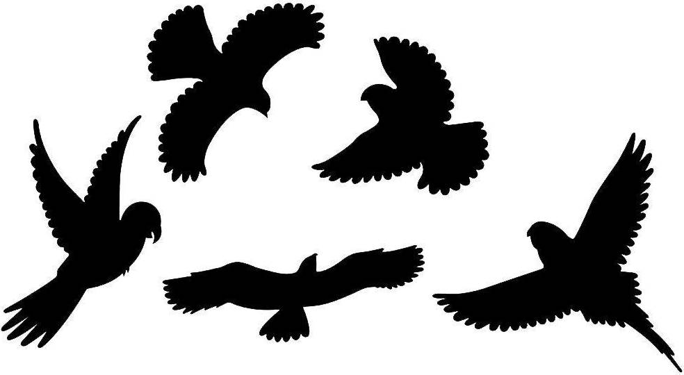 Bird Protection Stickers Pack 5