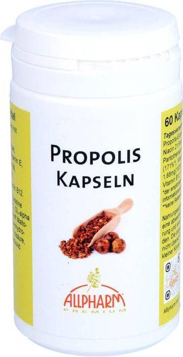 Propolis PROPOLIS+VITAMINE Kapseln 60 Stk.