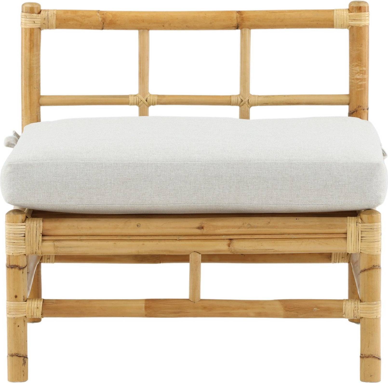 Venture Design Cane Mittmodul